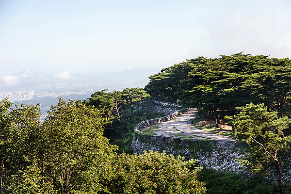 포토 JPG 주간 나무 식물 계절 하늘 한국 풍경 사람없음 야외 여름 성벽 남한산성 성곽길 국내포토 자연요소 아시아 길 경기도 파일형식