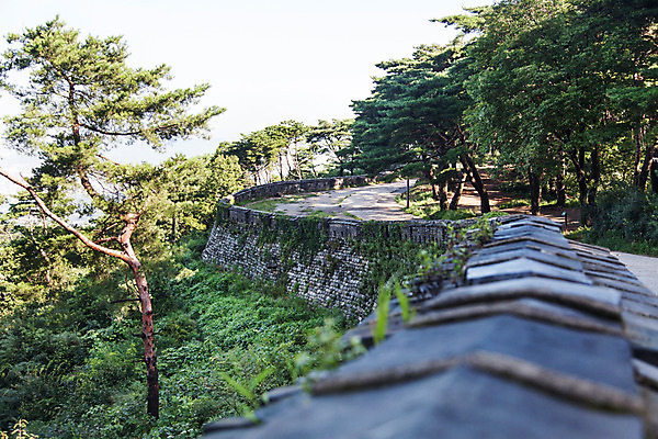 포토 JPG 주간 나무 식물 하늘 한국 풍경 사람없음 야외 성벽 남한산성 성곽길 국내포토 자연요소 아시아 길 경기도 파일형식