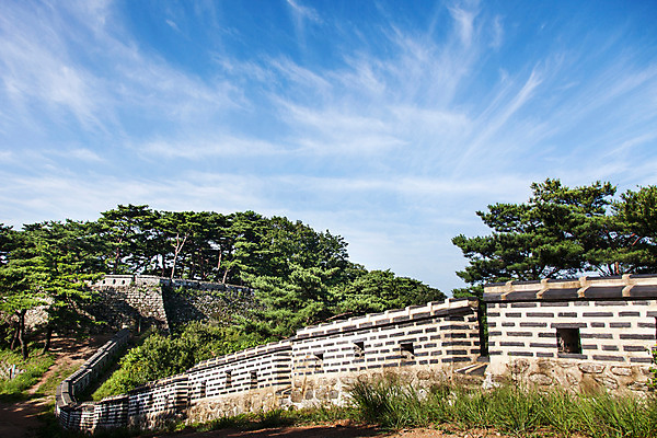 포토 자연요소 식물 계절 아시아 길 경기도 파일형식 남한산성 야외 주간 한국 하늘 사람없음 성벽 JPG 성곽길 나무 여름 풍경 국내포토