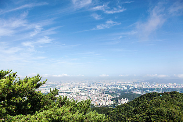 포토 JPG 주간 나무 식물 구름 계절 하늘 한국 풍경 사람없음 야외 여름 남한산성 국내포토 자연요소 아시아 경기도 파일형식