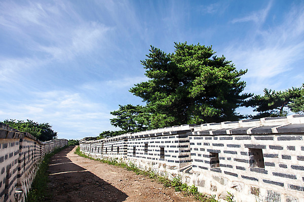 포토 JPG 주간 나무 식물 구름 하늘 한국 풍경 사람없음 야외 성벽 남한산성 성곽길 국내포토 자연요소 아시아 길 경기도 파일형식