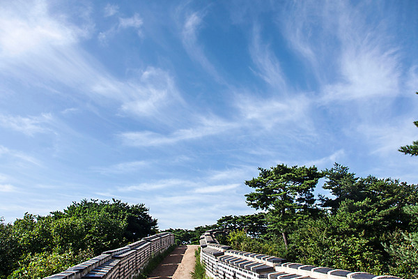 포토 JPG 주간 나무 식물 구름 하늘 한국 풍경 사람없음 야외 성벽 남한산성 성곽길 국내포토 자연요소 아시아 길 경기도 파일형식