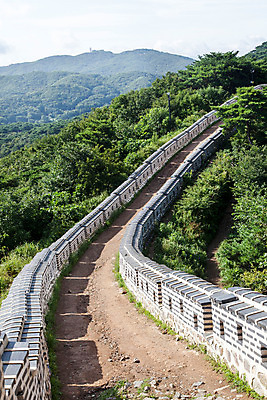 포토 JPG 주간 나무 식물 계절 한국 풍경 사람없음 야외 여름 성벽 남한산성 성곽길 국내포토 자연요소 아시아 길 경기도 파일형식