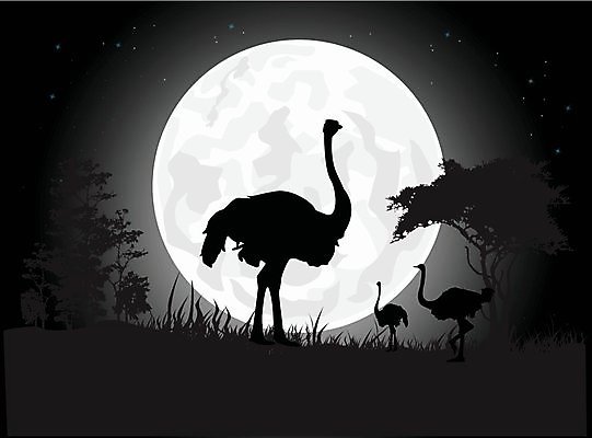 EPS 해외이미지 나무 동물 계절 공원 실루엣 문화 지구 호수 어린이 여행 밭 일러스트 포유류 가족 아프리카 자연 하늘 엄마 생물 동물원 그림자 물 여름 강 달리기 햇빛 반사 환경 계곡 검은색 일몰 새벽 달 아빠 야간 숲 큼 사파리 목 타조 남쪽 해외202004 슈퍼문 해외일러스트 자연요소 식물 공공시설 나라 컬러 농업 관계 모션 조류 촬영기법 사람 신체부위 태양 노을 크기 방향 생태계 파일형식 벡터 이미지허브