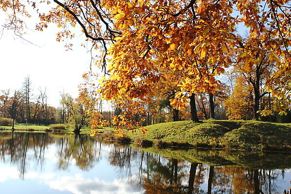 포토 JPG 해외이미지 나무 구름 호수 자연 하늘 사람없음 반사 가을 시트 해외202004 해외포토 자연요소 식물 계절 생태계 파일형식 이미지허브