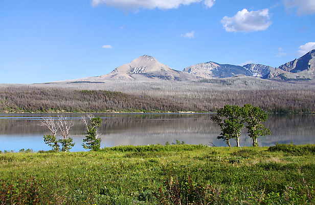 포토 JPG 해외이미지 나무 공원 호수 산 파노라마 풍경 사람없음 가로 초록색 물 파란색 강 평화 계곡 힘 침묵 고요 연못 개울 성자 숲 빙하 내추럴 울퉁불퉁 전국 절정 지질학 해외202004 해외포토 자연요소 식물 공공시설 교육 종교 컬러 컨셉 촬영기법 소리 파일형식 이미지허브