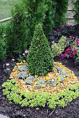 포토 JPG 해외이미지 식물 디자인 외관 공원 꽃 꽃무늬 자연 주택 사람없음 야외 장식 초록색 컬러풀 평화 정원 침묵 매력적 벚꽃 개화 보행로 시원함 만족 원예 내추럴 뒤뜰 땅바닥 영원 원예사 해외202004 해외포토 직업 공공시설 감정 길 컬러 컨셉 무늬 바닥 취미 건물 소리 생태계 파일형식 이미지허브