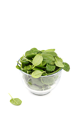 포토 JPG 해외이미지 식물 음식 백그라운드 잎 다이어트 채소 재료 자연 건강 요리 사람없음 목재 초록색 정원 어둠 봄 샐러드 신선 유기농 날것 시금치 내추럴 채식주의자 해외202004 해외포토 나무 웰빙 계절 컬러 생태계 채식 파일형식 이미지허브