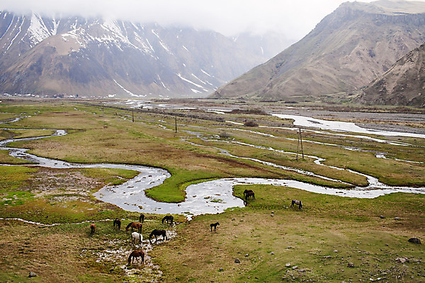 포토 JPG 해외이미지 동물 백인 구름 공원 여행 밭 자연 하늘 산 풍경 사람없음 야외 초록색 여름 파란색 농장 환경 계곡 봄 목장 시골 그룹 군중 언덕 전국 절정 조지아 해외202004 해외포토 자연요소 서양인 계절 공공시설 컬러 농업 사람 생태계 동유럽 파일형식 이미지허브