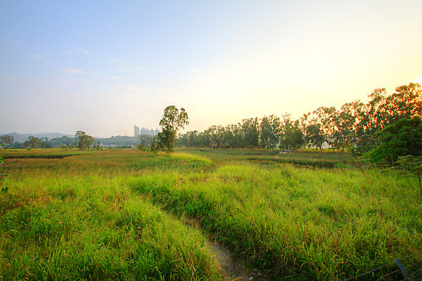 포토 JPG 해외이미지 나무 식물 구름 공원 호수 야생동물 여행 백그라운드 자연 하늘 산 풍경 사람없음 야외 초록색 물 여름 파란색 강 반사 평화 환경 중국 젖음 시골 연못 황무지 습지 숲 땅 장면 지역 홍콩 내추럴 넘어짐 전국 수평선 해외202004 해외포토 자연요소 동물 계절 공공시설 아시아 컬러 컨셉 모션 생태계 파일형식 이미지허브