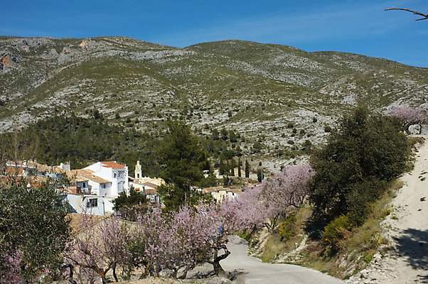포토 JPG 해외이미지 나무 꽃 분홍색 밭 산 풍경 사람없음 가로 햇빛 농장 마을 계곡 맑음 벚꽃 시골 스페인 숲 지중해 알리칸테 해외202004 해외포토 식물 유럽 바다 컬러 농업 날씨 태양 파일형식 이미지허브