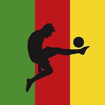 EPS 해외이미지 스포츠 일러스트 축구공 아프리카 놀이 축구선수 거리 컵 세계 축구 게임 깃발 점수 골 서쪽 전국 카메룬 플레이어 해외202004 해외일러스트 식기 나라 공 축구용품 운동선수 구기 방향 파일형식 벡터 이미지허브