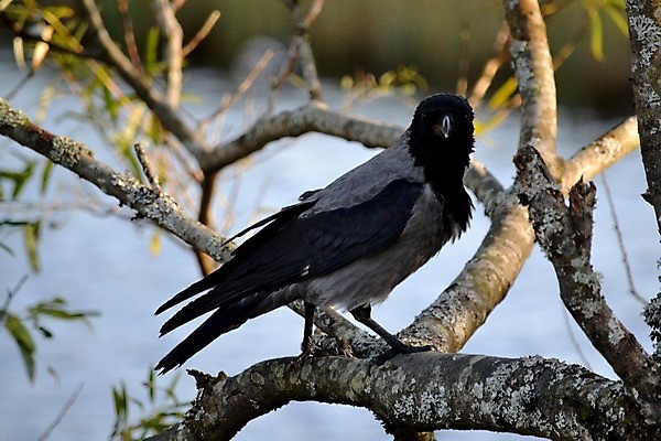 포토 JPG 해외이미지 사람없음 해외202004 해외포토 파일형식 이미지허브
