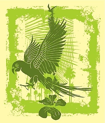 EPS 해외이미지 클립아트 실루엣 길 날개 일러스트 자연 갈매기 조류 오리 병아리 종류 파란색 세트 검은색 자르기 왜가리 플라밍고 문신 깃털 기중기 비둘기 사냥 클립 앵무새 윤곽 독수리 참새 거위 부족 벌새 집게발 황새 해외202004 해외일러스트 동물 컬러 컨셉 모션 촬영기법 중장비 생태계 파일형식 벡터 이미지허브