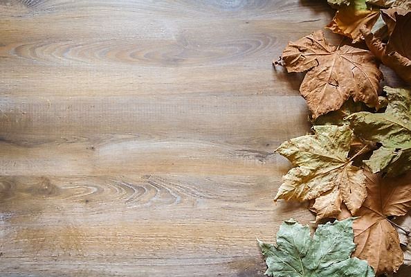 포토 JPG 해외이미지 식물 계절 공원 백그라운드 잎 패턴 오렌지 자연 벽지 날씨 사람없음 야외 목재 장식 빨간색 초록색 여름 컬러풀 갈색 노란색 정원 가을 황금 숲 11월 유기농 질감 10월 내추럴 해외202004 해외포토 나무 웰빙 공공시설 컬러 무늬 과일 재료 날짜 생태계 파일형식 이미지허브