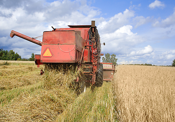 포토 JPG 해외이미지 나무 식물 구름 산업 문화 음식 빵 밭 채소 자연 하늘 풍경 사람없음 파란색 농작물 농장 노란색 쌓기 마을 기계 수확 시골 업무 건초더미 볏짚 농부 결합 먹이 자르기 시리얼 밀 수집 밀짚 호밀 해외202004 해외포토 자연요소 직업 컬러 농업 모션 곡류 작업 건초 짚 생태계 파일형식 더미 이미지허브