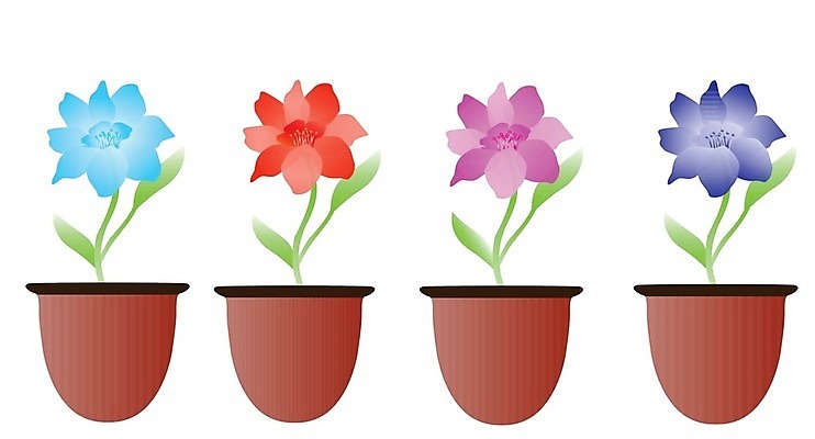 EPS 해외이미지 모양 식물 디자인 꽃 화분 화초 줄기 분홍색 잎 일러스트 자연 창조 경사 사람없음 그래픽 장식 초록색 여름 파란색 컬러풀 갈색 정원 봄 성장 그리기 4 오브젝트 그림 원예 해외202004 해외일러스트 계절 컬러 모션 취미 숫자 생태계 파일형식 벡터 문자 이미지허브