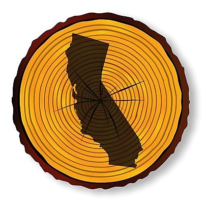 EPS 해외이미지 실루엣 지도 일러스트 부분 미술 목재 그래픽 낟알 그림 통나무 캘리포니아 종료 고립 수목 해외202004 해외일러스트 나무 재료 문화예술 촬영기법 미국 파일형식 벡터 이미지허브