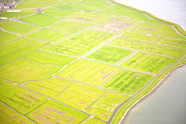 포토 JPG 해외이미지 식물 유럽 패턴 밭 농업 자연 안테나 풍경 사람없음 야외 초록색 여름 농작물 농장 농경지 환경 수확 성장 시골 땅 네덜란드 질감 장면 내추럴 땅바닥 밭일 세련 해외202004 해외포토 계절 나라 산업 컬러 무늬 통신 바닥 생태계 파일형식 이미지허브