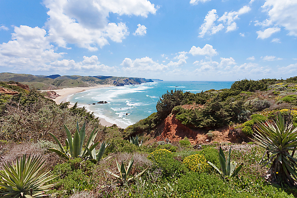 포토 JPG 해외이미지 식물 꽃 모래 바다 여행 자연 휴가 휴식 풍경 사람없음 물 침묵 자유 벚꽃 시골 만 개화 서핑 포르투갈 엽서 천국 대서양 파라다이스 회복 해외202004 해외포토 자연요소 유럽 컨셉 소리 수상스포츠 편지 생태계 파일형식 이미지허브