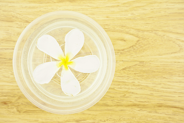 포토 JPG 해외이미지 디자인 꽃 백그라운드 사람없음 장식 물 여름 노란색 스파 젖음 흰색 신선 해외202004 해외포토 자연요소 식물 계절 컬러 파일형식 이미지허브