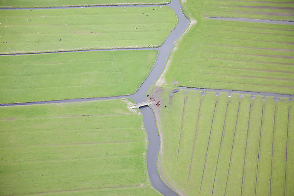 포토 JPG 해외이미지 유럽 백그라운드 패턴 밭 농업 자연 안테나 풍경 사람없음 야외 초록색 여름 농작물 농경지 환경 시골 땅 네덜란드 질감 장면 내추럴 땅바닥 밭일 세련 해외202004 해외포토 계절 나라 산업 컬러 무늬 통신 바닥 농장 생태계 파일형식 이미지허브