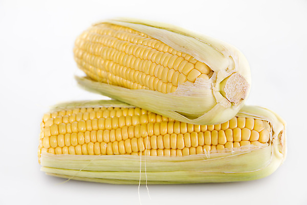 포토 JPG 해외이미지 식물 문화 음식 백그라운드 잎 다이어트 채소 과일 자연 건강 옥수수 사람없음 초록색 농작물 농장 노란색 젖음 수확 껍질 흰색 신선 황금 달콤 맛 낟알 먹기 오브젝트 유기농 알맹이 날것 내추럴 고립 숙성 채식주의자 해외202004 해외포토 웰빙 컬러 컨셉 농업 모션 곡류 생태계 채식 파일형식 이미지허브