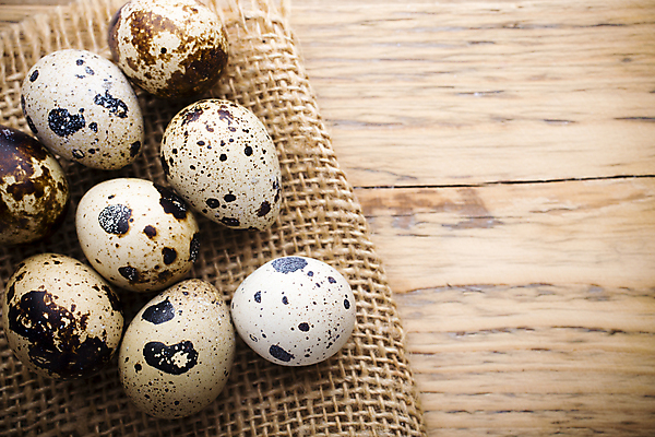 포토 JPG 해외이미지 동물 계절 음식 백그라운드 자연 부활절 사람없음 목재 장식 갈색 계란 봄 점 그룹 둥지 작음 먹기 심볼 오브젝트 유기농 날것 밀짚 메추리 해외202004 해외포토 나무 웰빙 기념일 컬러 재료 모션 알 짚 크기 생태계 파일형식 이미지허브