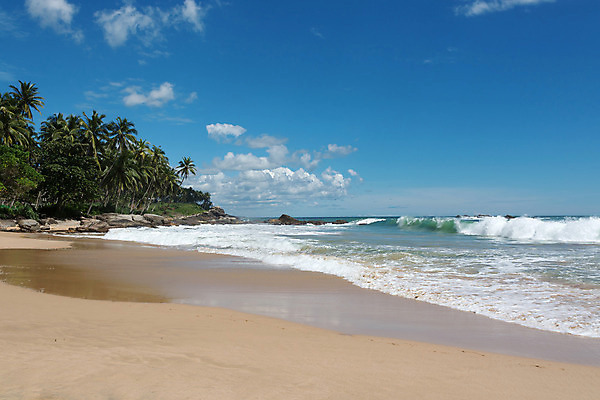 포토 JPG 해외이미지 아시아 모래 파도 바다 여행 자연 열대 풍경 사람없음 물 모래사장 12월 인도양 내추럴 스리랑카 이국적 파라다이스 해외202004 해외포토 자연요소 나라 날짜 생태계 파일형식 이미지허브