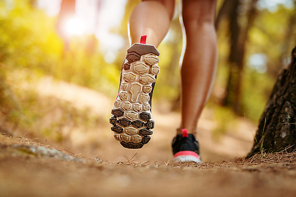 포토 JPG 해외이미지 도로 운동화 자연 건강 사람없음 뒷모습 가로 달리기 조깅 햇빛 걷기 소나무 숲 연습 카피스페이스 해외202004 해외포토 나무 길 뷰포인트 신발 교통시설 모션 운동 태양 공백 생태계 파일형식 이미지허브