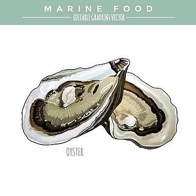 EPS 해외이미지 야생동물 음식 바다 일러스트 자연 낚시 조개 연체동물 어류 그래픽 라벨 껍질 굴 신선 은색 먹기 해산물 오브젝트 그림 태평양 패키지 통조림 대서양 내추럴 고립 동물상 소금물 엘리먼트 해외202004 해외일러스트 동물 컬러 모션 레저 어패류 무척추동물 프레임 조형물 수중동물 생태계 파일형식 벡터 이미지허브