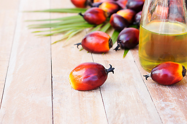 포토 JPG 해외이미지 식물 산업 아시아 음식 잎 농업 과일 교통시설 자동차 자연 손바닥 씨앗 사람없음 경제 농장 에너지 견과류 지성 수확 신선 재산 역 휘발유 다발 에코 날것 탱크 연료 가스 짐차 자원 펌프 노즐 디젤 밭일 세련 해외202004 해외포토 손 나라 육상교통 교통 금융 환경 석유 시설 생태계 파일형식 이미지허브