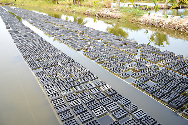 포토 JPG 해외이미지 동물 여자 음식 바다 낚시 조개 서브 육류 요리 사람없음 여름 상자 쌓기 식당 검은색 게 껍질 연못 신선 잡기 균열 먹기 해산물 향신료 잔치 인도네시아 낚시꾼 부드러움 무침 어장 식용 집게발 많음 해외202004 해외포토 계절 아시아 컬러 컨셉 식재료 모션 레저 어패류 갑각류 사람 상점 감각 향미료 파일형식 이미지허브