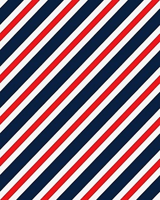 EPS 해외이미지 디자인 옷 선 백그라운드 패턴 일러스트 벽지 추상 미술 경사 그래픽 장식 빨간색 유행 디지털 검은색 줄무늬 수확 흰색 직물 클래식 우아함 인쇄 타일 질감 복고 심플 다이아몬드 짜임 대각선 대칭 지그재그 스타일 해외202004 해외일러스트 컬러 컨셉 무늬 농업 문화예술 보석 파일형식 벡터 이미지허브