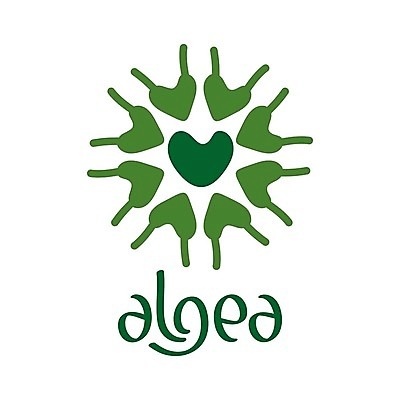 EPS 해외이미지 모양 식물 일러스트 텍스트 생물 세포 건강 실험 초록색 단어 약 환경 자료 에너지 해조류 결과 심볼 유기농 타입 내추럴 광합성 활자 해외202004 해외일러스트 문자 웰빙 컬러 컨셉 의학 해양식물 활자판 파일형식 벡터 이미지허브