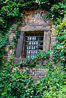 포토 JPG 해외이미지 나무 식물 유럽 벽 여행 백그라운드 잎 건축양식 창문 자연 날씨 벽돌 주택 사람없음 건물 장식 초록색 여름 갈색 금속 수확 골동품 바위 바 역사 덩굴 철 감옥 묘사 질감 포도나무 창살 아이비 내추럴 옛날 죄수 그리너리 해외202004 해외포토 건축물 계절 건축 나라 컬러 농업 재질 돌_바위 과일나무 생태계 파일형식 트랜드컬러 이미지허브