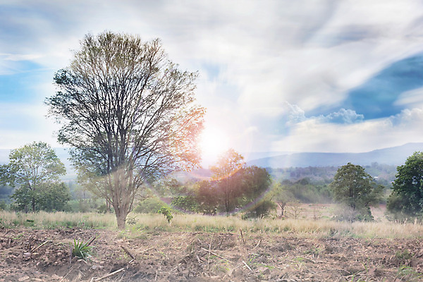 포토 JPG 해외이미지 나무 구름 실루엣 백그라운드 자연 하늘 산 그림자 풍경 사람없음 컬러풀 태양 우주 놀람 새벽 공백 시골 정상 즐거움 지역 산악지대 몽환 해외202004 해외포토 자연요소 식물 감정 컬러 컨셉 촬영기법 표정 생태계 파일형식 이미지허브