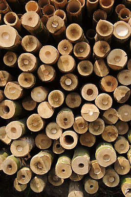 포토 JPG 해외이미지 나무 전통 산업 백그라운드 패턴 사람없음 야외 목재 갈색 쌓기 환경 에너지 화물 반지 소나무 원형 거친 그룹 주식 숲 장작 자르기 대나무 묘사 준비 질감 나무껍질 수납 자원 흙더미 다리찢기 내추럴 수목 개조 해외202004 해외포토 도형 식물 컬러 무늬 재료 장신구 모션 금융 흙 운송업 껍질 파일형식 더미 이미지허브