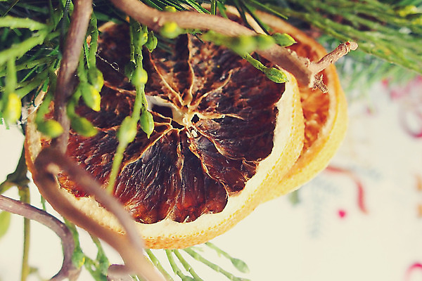 포토 JPG 해외이미지 나무 크리스마스 겨울 오렌지 휴가 갈대 사람없음 장식 초록색 내추럴 해외202004 해외포토 식물 계절 기념일 컬러 과일 파일형식 이미지허브