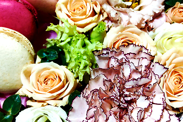 포토 JPG 해외이미지 전통 꽃 음식 분홍색 결혼 백그라운드 컨셉 꽃무늬 휴가 디저트 전등 국화 발렌타인데이 사탕 선물 사랑 사람없음 목재 장식 빨간색 초록색 상자 컬러풀 장미 노란색 쿠키 과자 케이크 축하 신선 달콤 맛 정상 꽃집 모음 마카롱 고립 페스츄리 해외202004 해외포토 나무 식물 감정 빵 컬러 무늬 재료 데이이벤트 조명 이벤트 한글 상점 파일형식 이미지허브