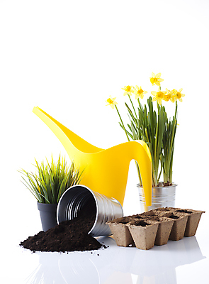 포토 JPG 해외이미지 나무 식물 계절 꽃 화분 장갑 잎 농업 자연 씨앗 사람없음 목재 노란색 정원 흙 봄 장비 공구 모종삽 삽 허브 물주기 원예 수선화 로즈메리 갈퀴 돌봄 세이지 많음 해외202004 해외포토 잡화 산업 컬러 컨셉 재료 모션 취미 도구 생태계 파일형식 이미지허브