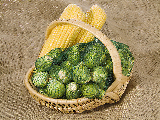 포토 JPG 해외이미지 음식 농업 채소 건강 옥수수 사람없음 농작물 수확 신선 맛 양배추 날것 채식주의자 해외202004 해외포토 산업 컨셉 곡류 채식 파일형식 이미지허브