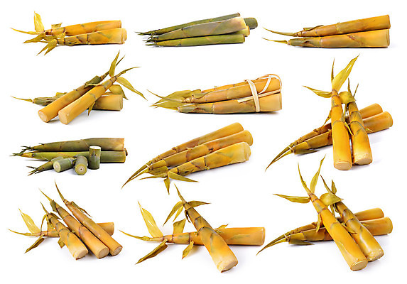 포토 JPG 해외이미지 식물 아시아 음식 백그라운드 채소 자연 건강 요리 동양인 사람없음 갈색 새싹 일본 봄 흰색 신선 숲 발사 자르기 대나무 성분 내추럴 고립 채식주의자 총쏘기 비건 해외202004 해외포토 나무 계절 나라 컬러 모션 인종 생태계 채식 파일형식 이미지허브