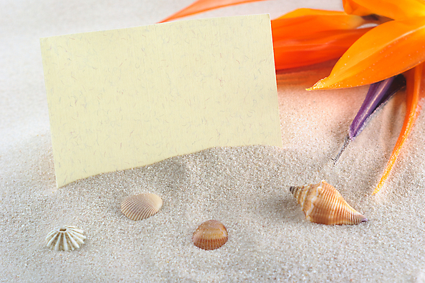 포토 JPG 해외이미지 식물 꽃잎 꽃 종이 모래 오렌지 휴가 사람없음 가로 사진촬영 공백 껍질 인사 신용카드 발표 메시지 해외202004 해외포토 과일 금융 촬영 예절 파일형식 이미지허브