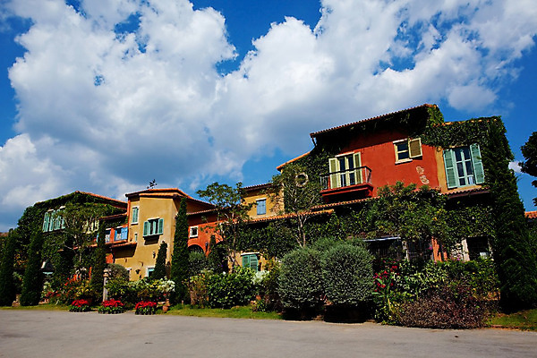 포토 JPG 해외이미지 식물 전통 외관 꽃 벽 백그라운드 잎 건축양식 창문 자연 유리 하늘 주택 사람없음 야외 건물 장식 빨간색 초록색 파란색 마을 환경 정원 이탈리아 성장 덮개 시골 도시 덩굴 시골집 질감 포도나무 아이비 리빙 내추럴 옛날 해외202004 해외포토 건축물 건축 유럽 컬러 재질 뚜껑 과일나무 생태계 파일형식 이미지허브