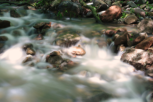 포토 JPG 해외이미지 나무 식물 디자인 계절 백그라운드 잎 꽃무늬 패턴 자연 벽지 휴가 풍경 사람없음 야외 목재 그래픽 장식 초록색 여름 파란색 빛 컬러풀 갈색 환경 봄 성장 흰색 나뭇가지 신선 숲 묘사 헝가리 내추럴 고립 엘리먼트 해외202004 해외포토 꽃 컬러 무늬 재료 생태계 동유럽 파일형식 이미지허브