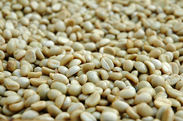 포토 JPG 해외이미지 식물 산업 커피 음료 백그라운드 농업 콩 씨앗 사람없음 신선 닫기 맛 낟알 굽기 준비 유기농 질감 날것 아로마 향 에스프레소 아라비카 카페인 해외202004 해외포토 웰빙 컨셉 모션 곡류 구이 파일형식 이미지허브