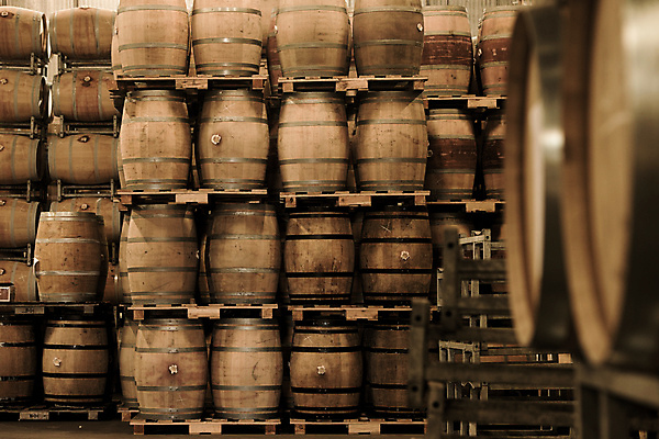 포토 JPG 해외이미지 사람없음 갈색 쌓기 가득함 창고 오크통 와인통 해외202004 해외포토 컬러 모션 와인 파일형식 이미지허브