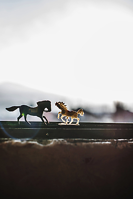 포토 JPG 해외이미지 동물 모델 조각 백그라운드 컨셉 창문 놀이 미술 사람없음 장난감 햇빛 태양 숫자 갈색 미니어처 피규어 수확 골동품 게임 승차 플라스틱 오브젝트 복고 꼬리 옛날 해외202004 해외포토 자연요소 문자 컬러 농업 모션 재질 문화예술 모형 파일형식 이미지허브