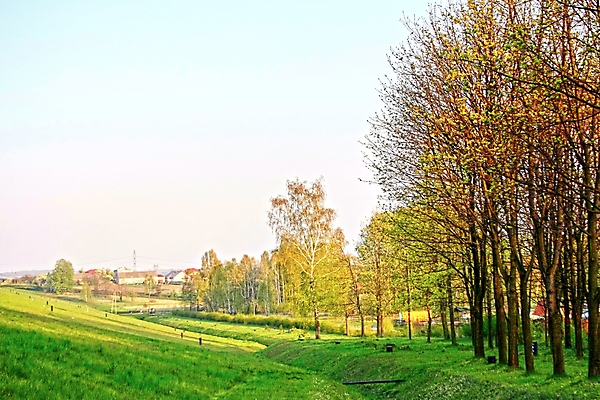 포토 JPG 해외이미지 나무 구름 계절 공원 백그라운드 잎 농업 자연 하늘 풍경 사람없음 야외 목재 초록색 여름 파란색 빛 세계 햇빛 태양 노란색 평화 일출 환경 일몰 봄 광선 시골 신선 숲 내추럴 해외202004 해외포토 자연요소 식물 공공시설 산업 컬러 컨셉 재료 노을 생태계 파일형식 이미지허브